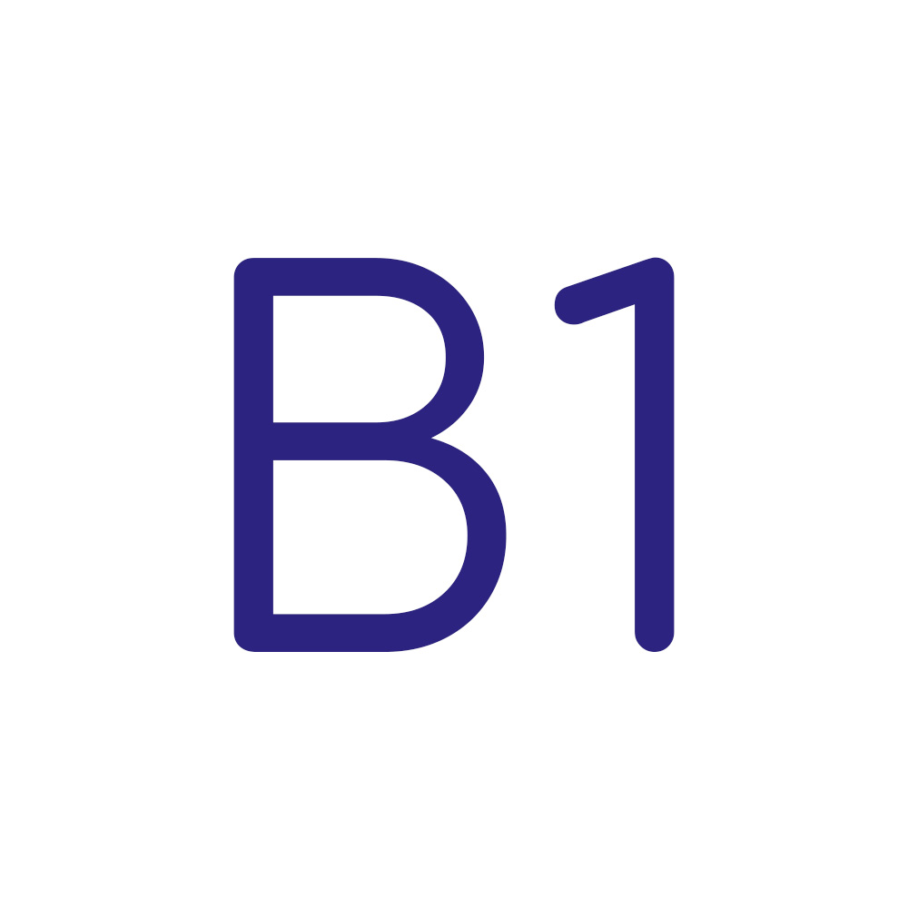 Német szókártya hanganyag B1-es szint